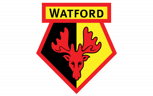 Watford FC Watford FC